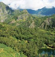 Salazie Le cirque du chouchou